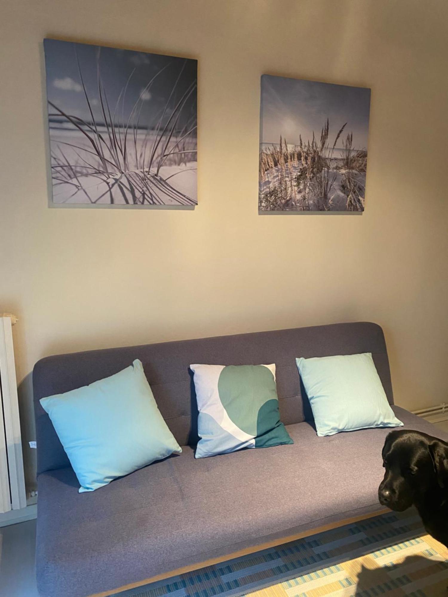 Appartement Avec Jardin Le Porge Exterior photo