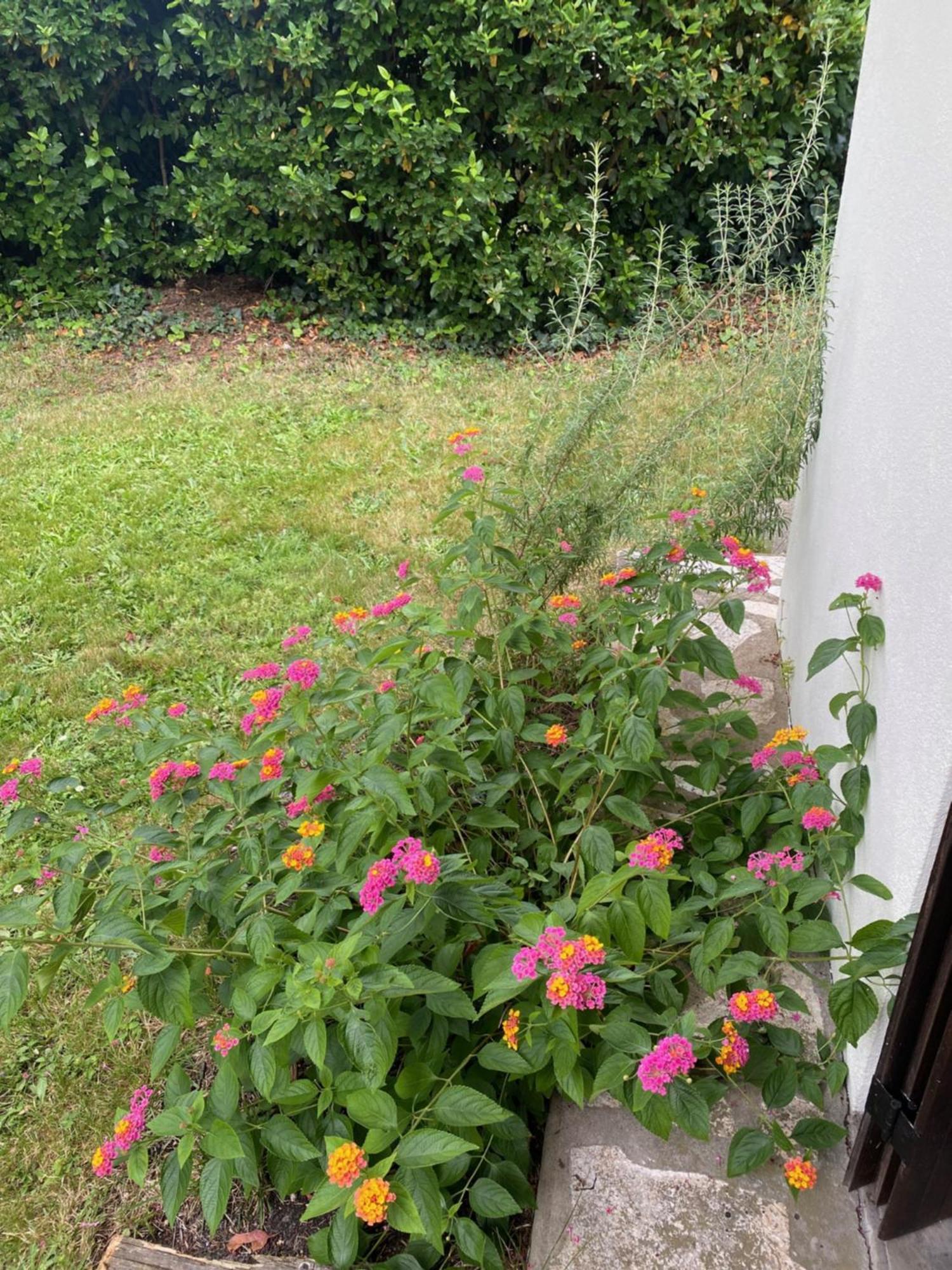 Appartement Avec Jardin Le Porge Exterior photo